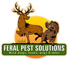 Cooloola Feral Pest Solutions